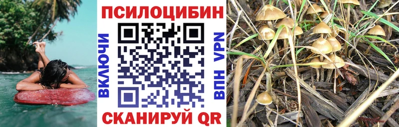 Псилоцибиновые грибы прущие грибы  ОМГ ОМГ как зайти  Ковдор 